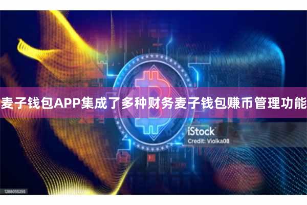 麦子钱包APP集成了多种财务麦子钱包赚币管理功能