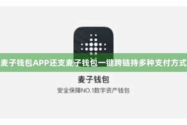 麦子钱包APP还支麦子钱包一键跨链持多种支付方式