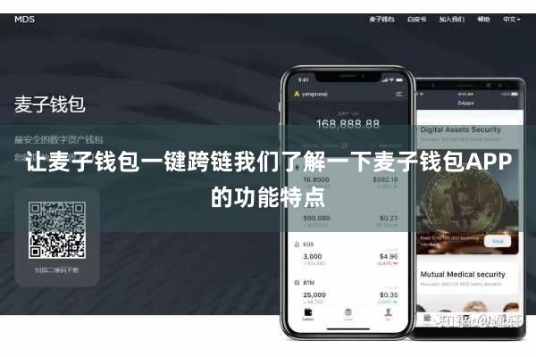 让麦子钱包一键跨链我们了解一下麦子钱包APP的功能特点