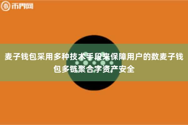 麦子钱包采用多种技术手段来保障用户的数麦子钱包多链聚合字资产安全