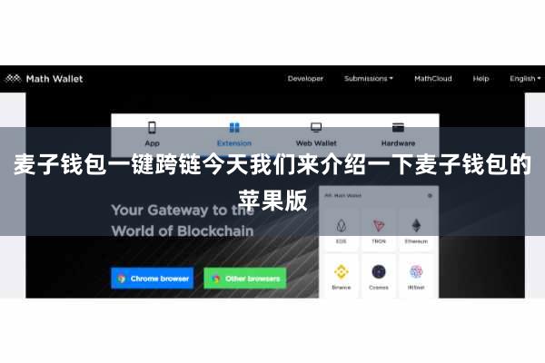 麦子钱包一键跨链今天我们来介绍一下麦子钱包的苹果版