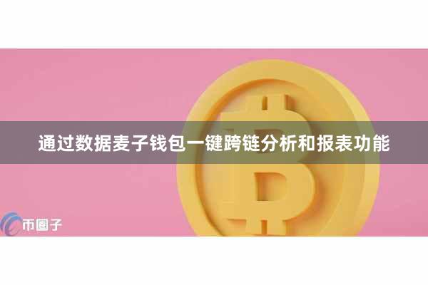 通过数据麦子钱包一键跨链分析和报表功能