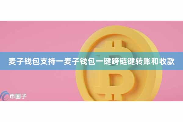 麦子钱包支持一麦子钱包一键跨链键转账和收款