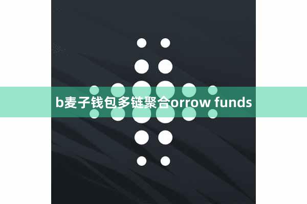b麦子钱包多链聚合orrow funds