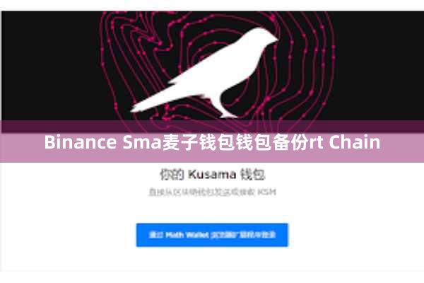 Binance Sma麦子钱包钱包备份rt Chain