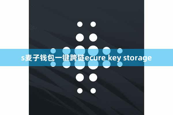 s麦子钱包一键跨链ecure key storage