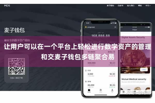让用户可以在一个平台上轻松进行数字资产的管理和交麦子钱包多链聚合易