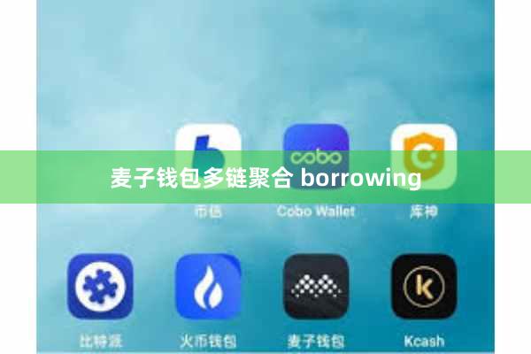 麦子钱包多链聚合 borrowing