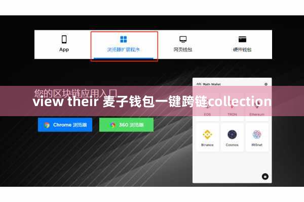 view their 麦子钱包一键跨链collection