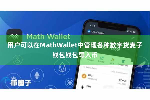 用户可以在MathWallet中管理各种数字货麦子钱包钱包导入币