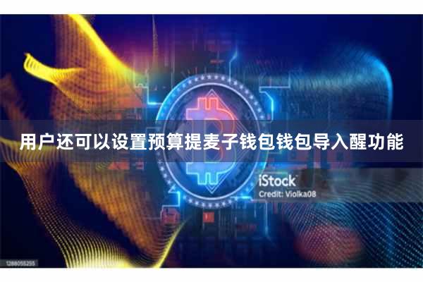 用户还可以设置预算提麦子钱包钱包导入醒功能