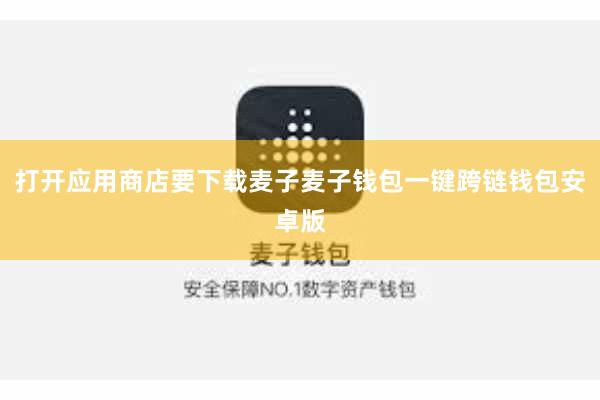 打开应用商店要下载麦子麦子钱包一键跨链钱包安卓版