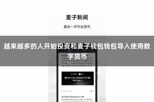 越来越多的人开始投资和麦子钱包钱包导入使用数字货币