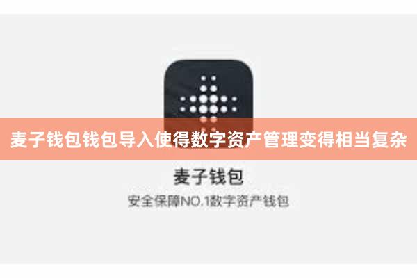 麦子钱包钱包导入使得数字资产管理变得相当复杂