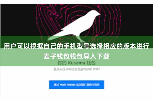 用户可以根据自己的手机型号选择相应的版本进行麦子钱包钱包导入下载