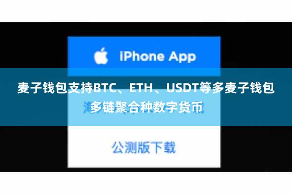 麦子钱包支持BTC、ETH、USDT等多麦子钱包多链聚合种数字货币
