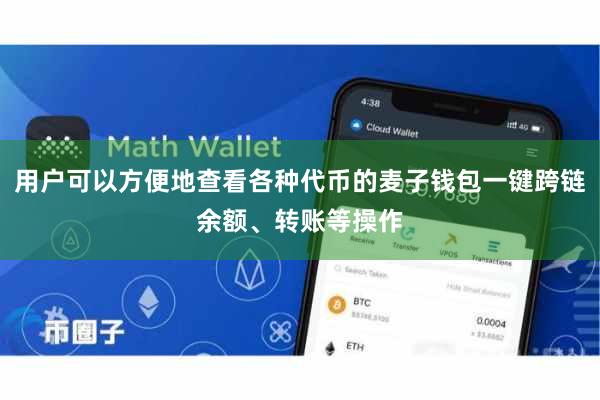 用户可以方便地查看各种代币的麦子钱包一键跨链余额、转账等操作