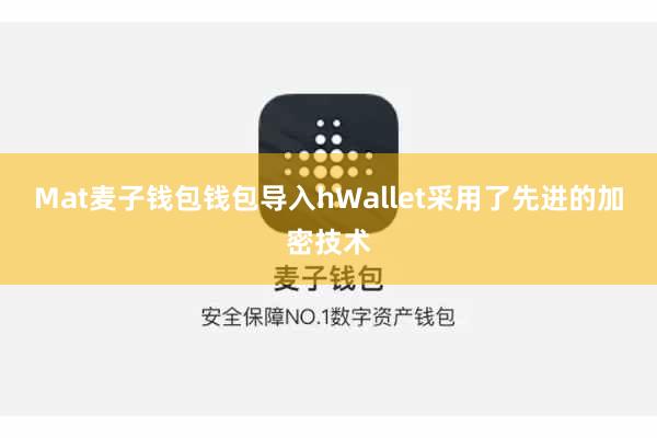 Mat麦子钱包钱包导入hWallet采用了先进的加密技术